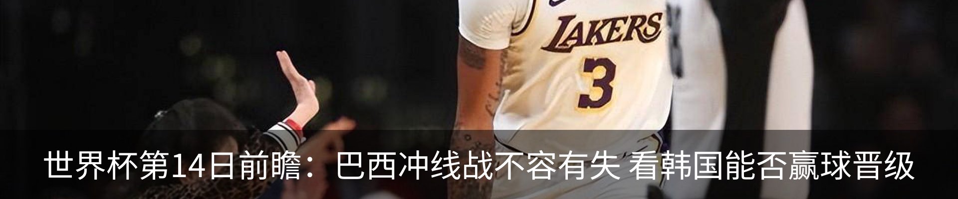 最新动态