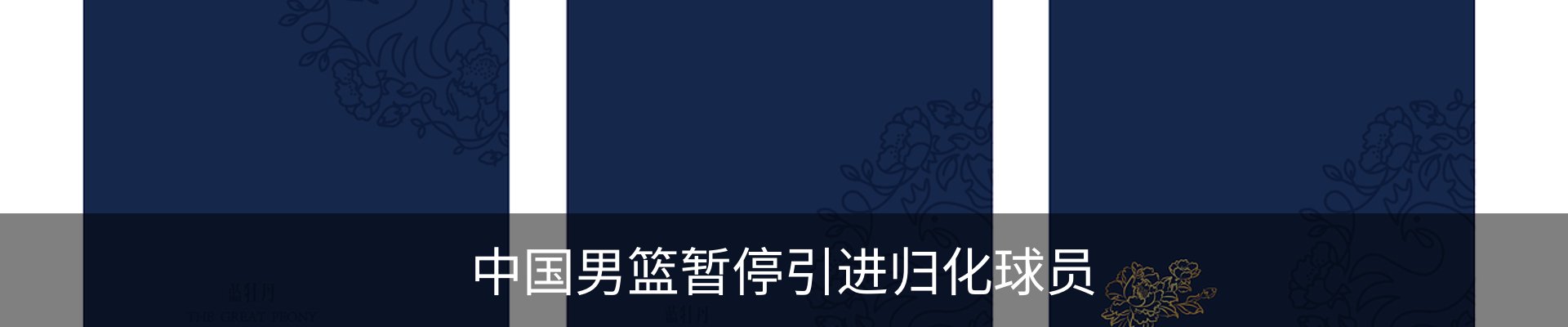 最新动态