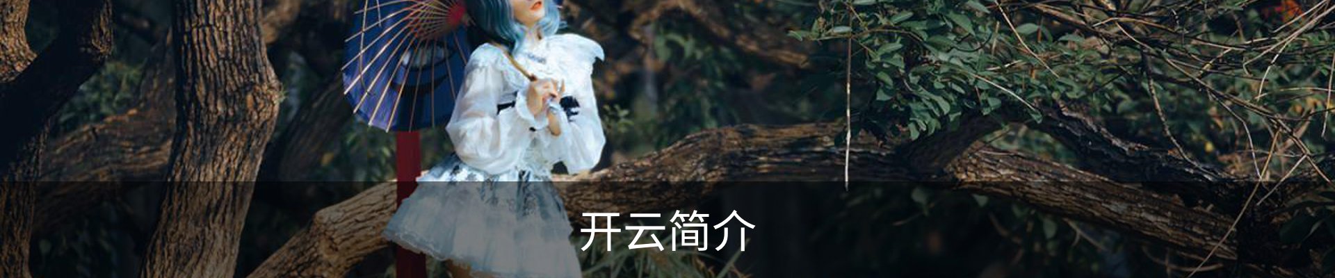 开云简介