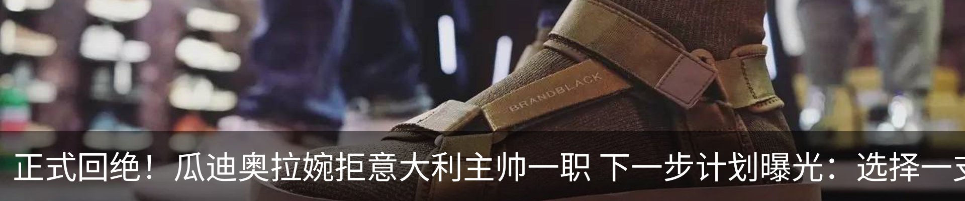 最新动态