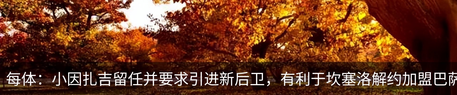 最新动态