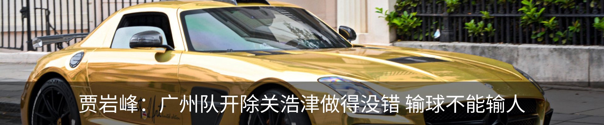 最新动态