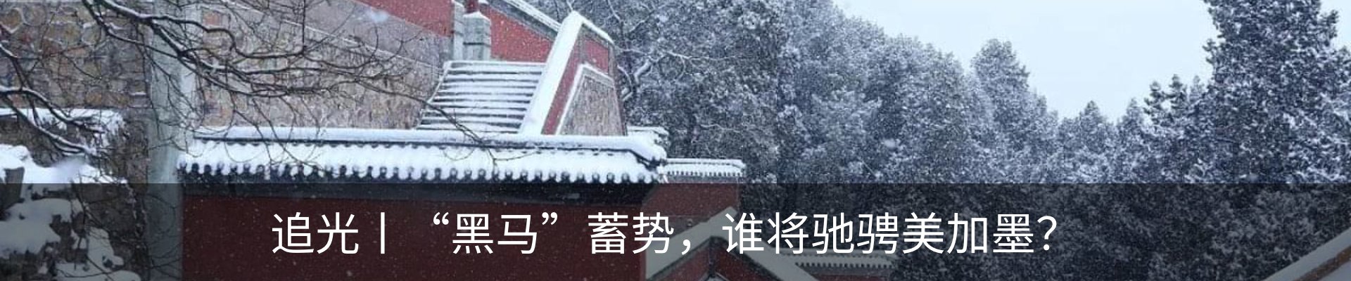 最新动态