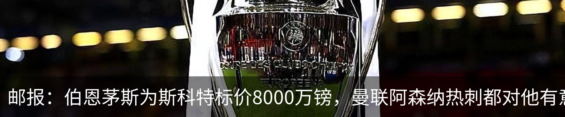 最新动态
