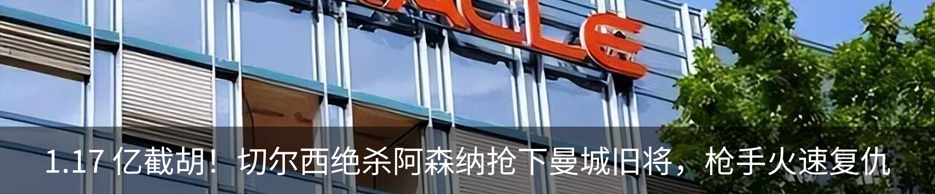 最新动态
