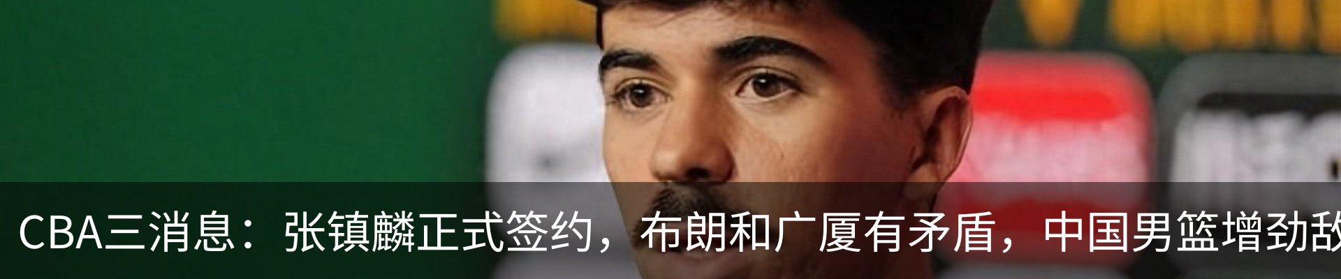 最新动态