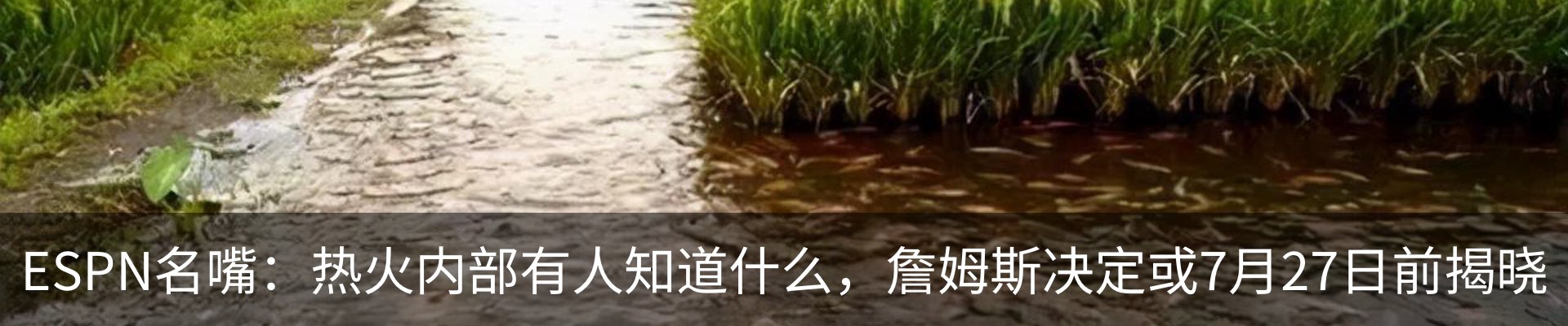 最新动态